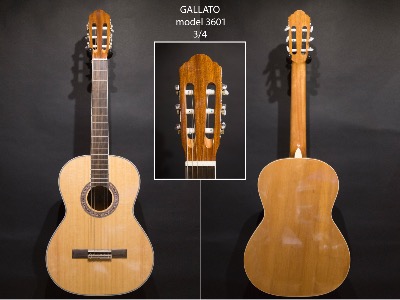 GUITARE GALLATO 3601 