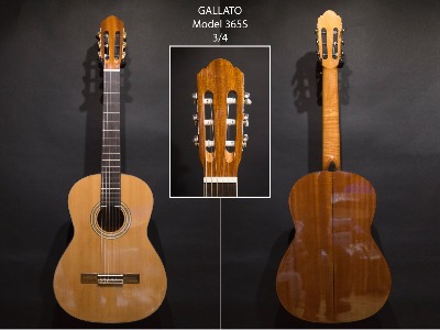 GUITARE GALLATO 365S