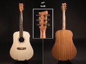 GUITARE VGS RT1-E