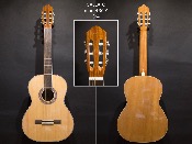 GUITARE GALLATO 3601 